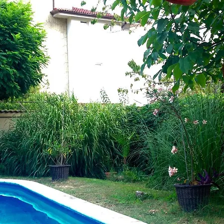 Summer Boutique Varna