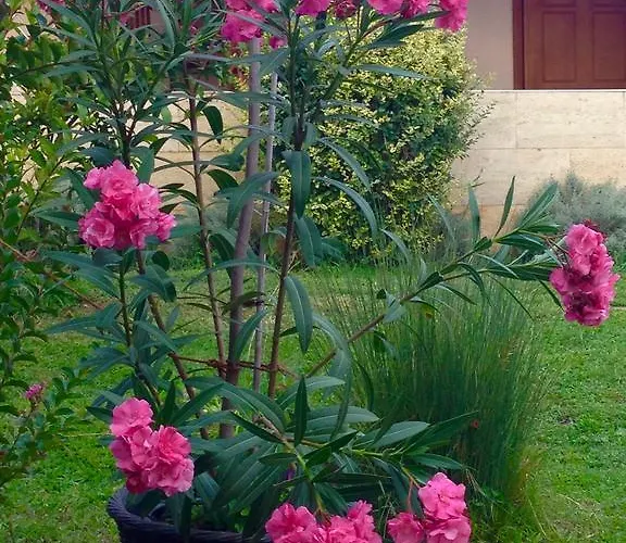 Villa Sunny Boutique