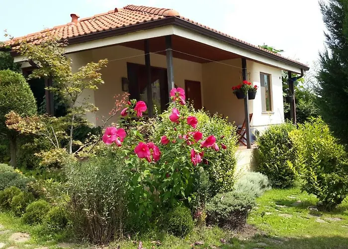 Sunny Boutique Varna