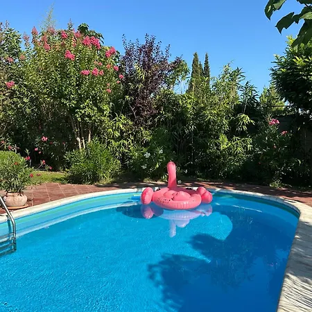 Sunny Boutique Warna