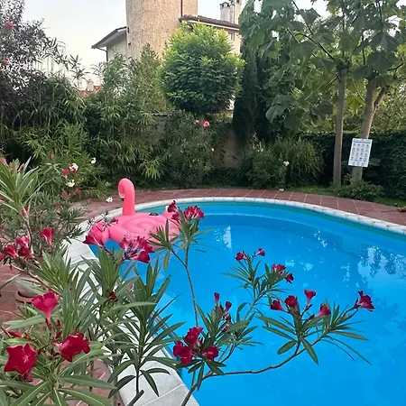 Sunny Boutique Warna