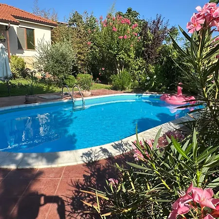 Sunny Boutique Warna