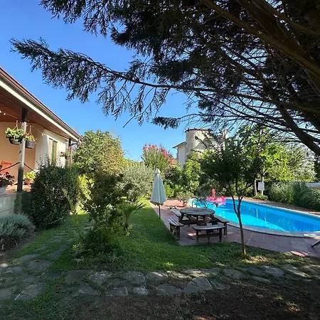 Sunny Boutique Warna