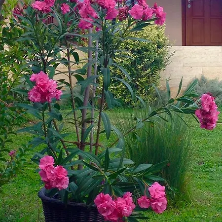 Villa Sunny Boutique