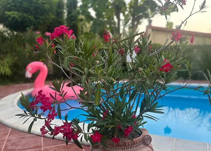 Sunny Boutique Warna