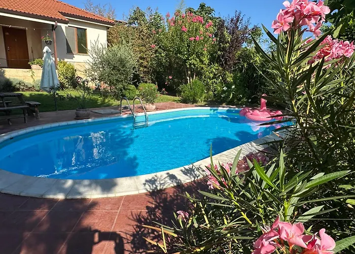 Sunny Boutique Warna