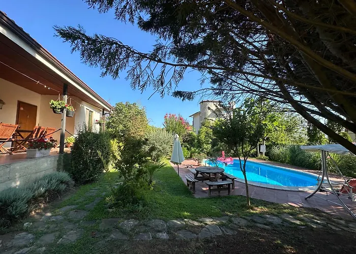 Sunny Boutique Warna